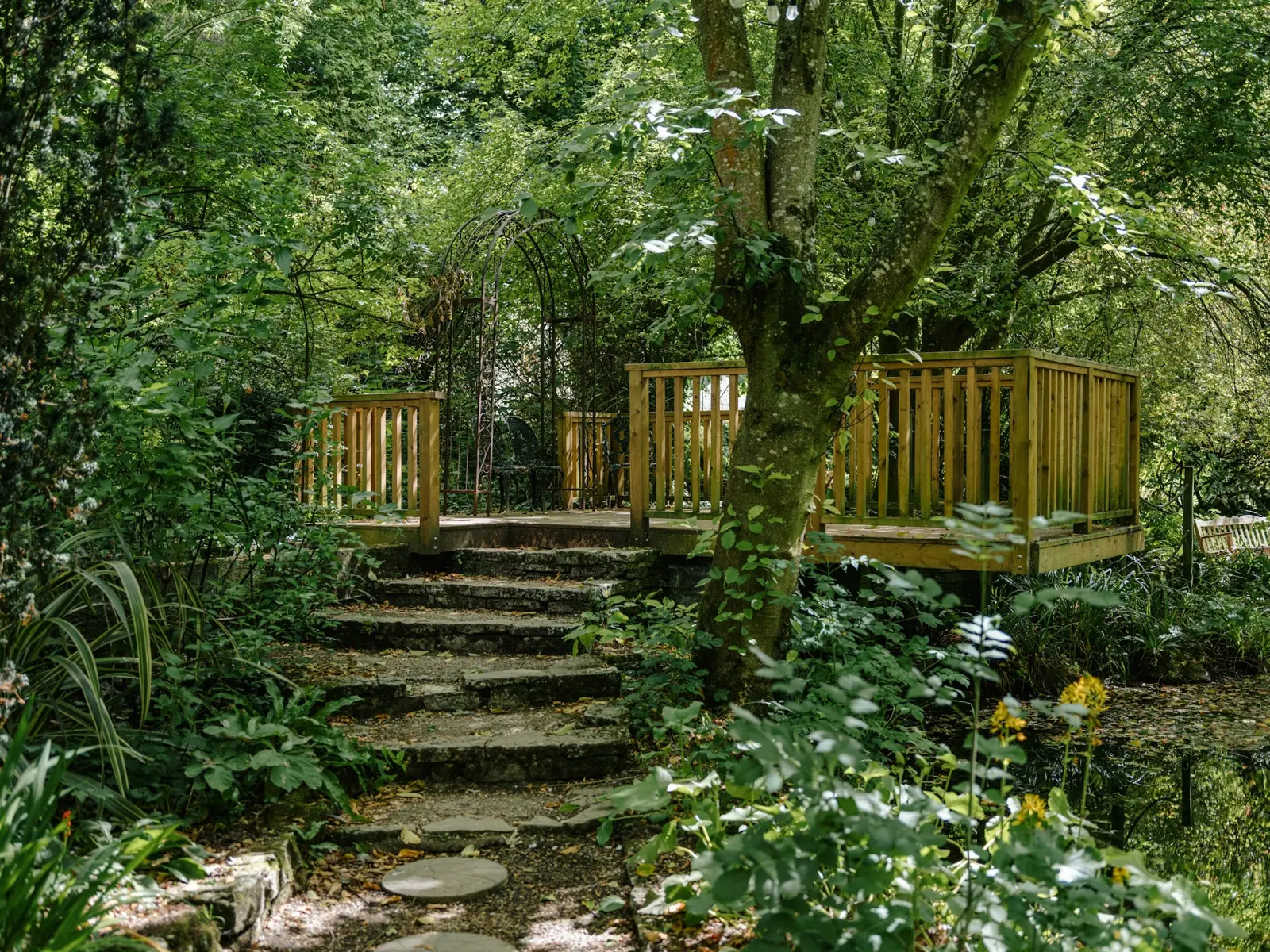Raised deck and stone steps in a woodland garden